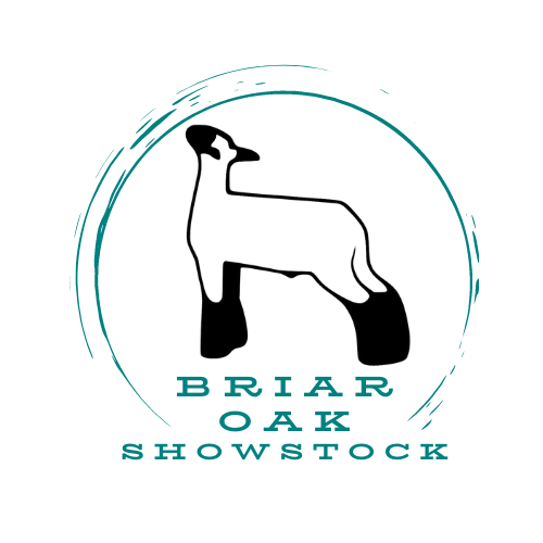 Briar Oak Showstock