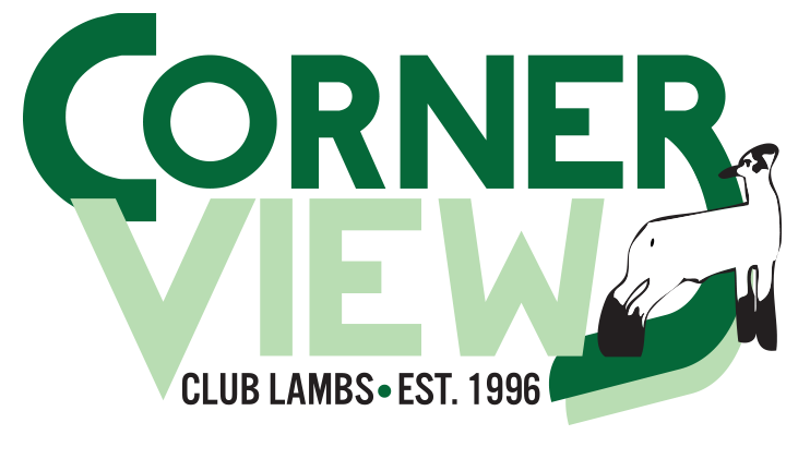 Corner View Club Lambs